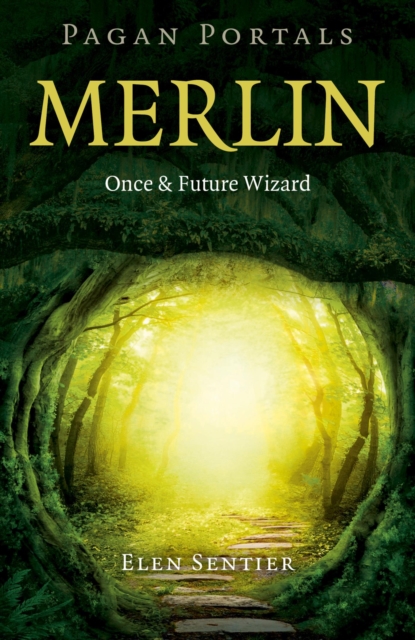 Book Cover for Pagan Portals - Merlin by Elen Sentier