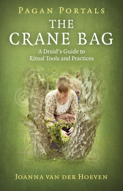 Book Cover for Pagan Portals: The Crane Bag by Joanna van der Hoeven