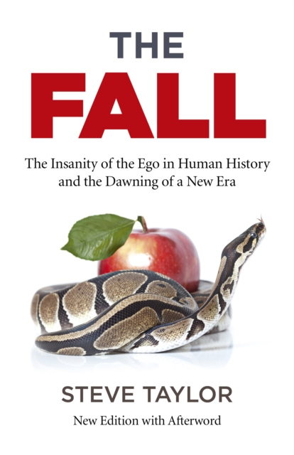 Book Cover for Fall by Steve Taylor