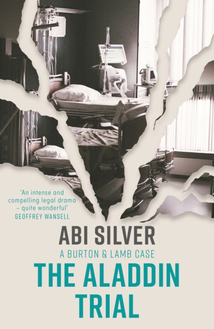 Book Cover for Aladdin Trial by Abi Silver