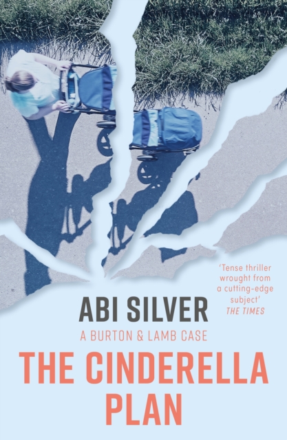 Book Cover for Cinderella Plan by Abi Silver