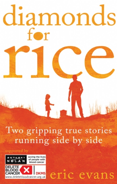 Book Cover for Diamonds for Rice by Eric Evans