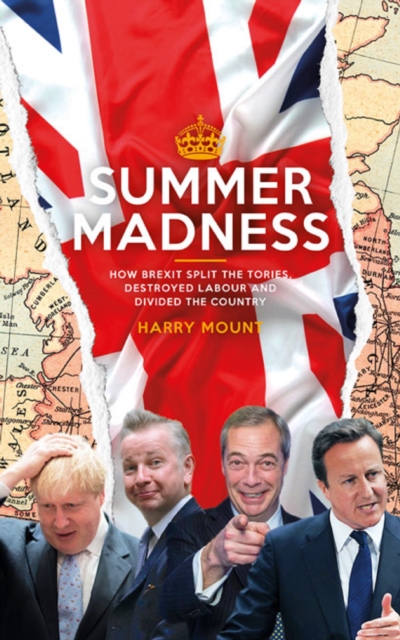 Book Cover for Summer Madness by Harry Mount