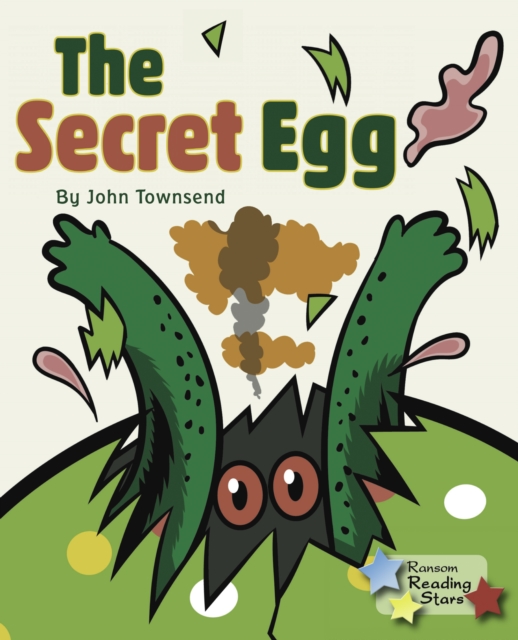 Book Cover for Secret Egg by John Townsend