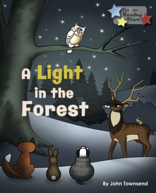 Book Cover for Light in the Forest (Ebook) by John Townsend