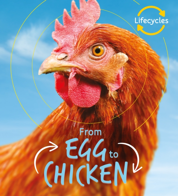 Book Cover for Lifecycles: Egg to Chicken by Camilla de la Bedoyere