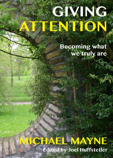 Book Cover for Giving Attention by Mayne, Michael