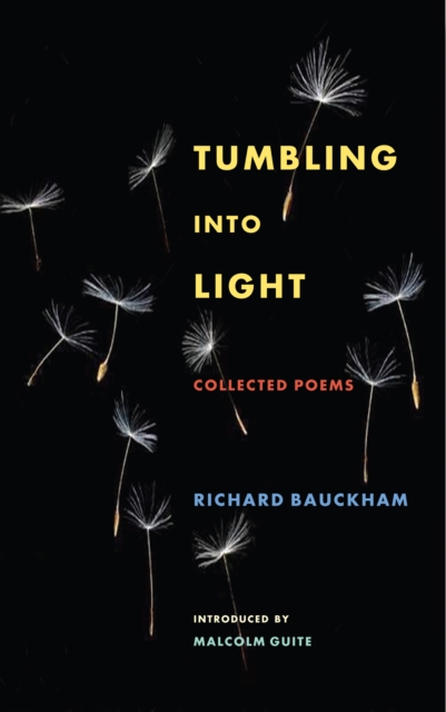 Book Cover for Tumbling Into Light by Richard Bauckham