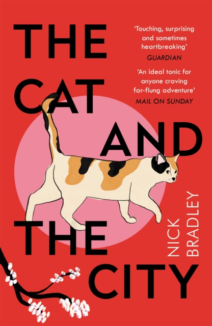 Book Cover for Cat and The City by Bradley, Nick