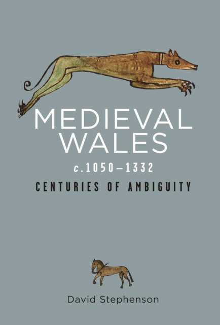 Book Cover for Medieval Wales c.1050-1332 by David Stephenson