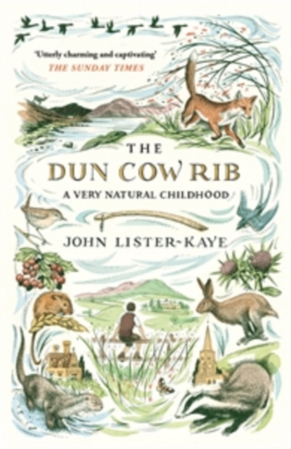 Book Cover for Dun Cow Rib by John Lister-Kaye