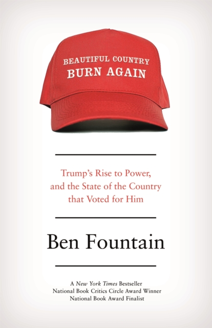 Book Cover for Beautiful Country Burn Again by Ben Fountain