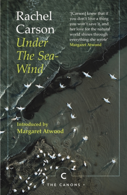 Book Cover for Under the Sea-Wind by Rachel Carson