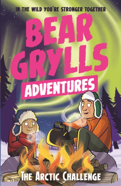 Book Cover for Bear Grylls Adventure 11: The Arctic Challenge by Bear Grylls