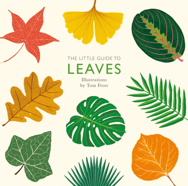 Book Cover for Little Guide to Leaves by Alison Davies