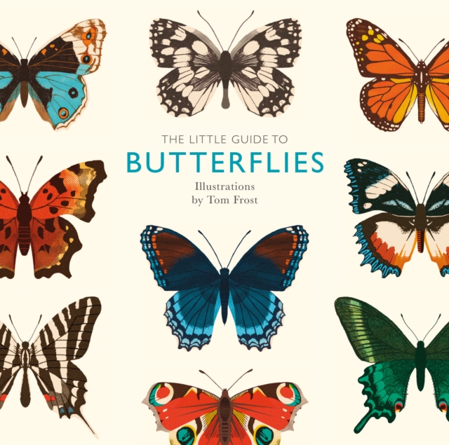 Book Cover for Little Guide to Butterflies by Alison Davies