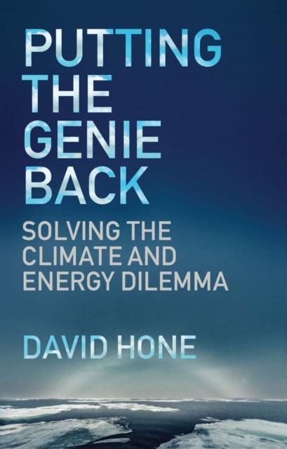 Book Cover for Putting the Genie Back by Hone, David