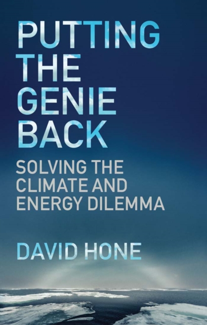 Book Cover for Putting the Genie Back by David Hone