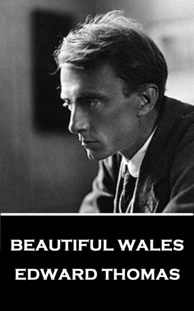 Book Cover for Beautiful Wales by Edward Thomas