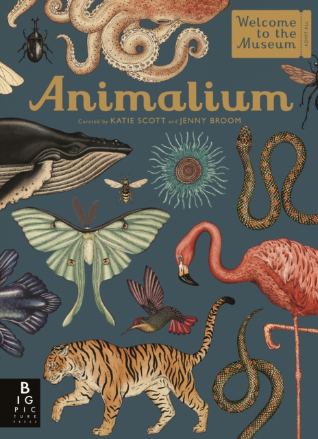 Book Cover for Animalium by Jenny Broom