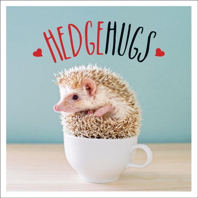 Book Cover for Hedgehugs by Charlie Ellis