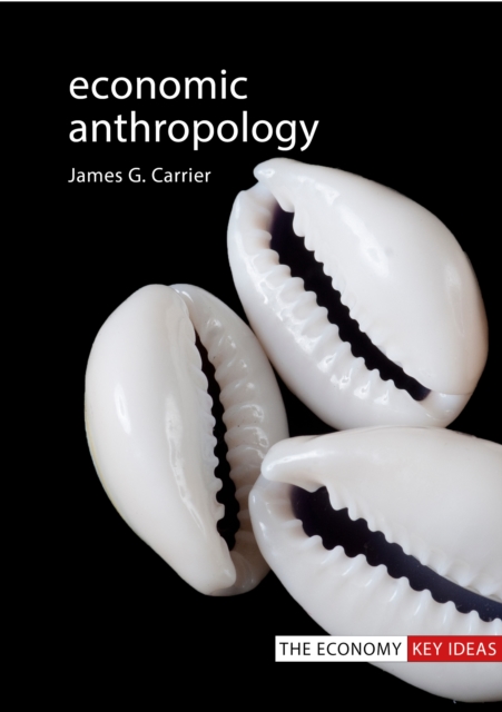 Book Cover for Economic Anthropology by James G. Carrier