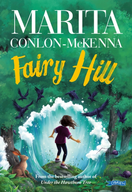 Book Cover for Fairy Hill by Marita Conlon-McKenna