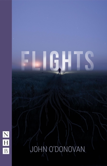 Book Cover for Flights (NHB Modern Plays) by John O'Donovan