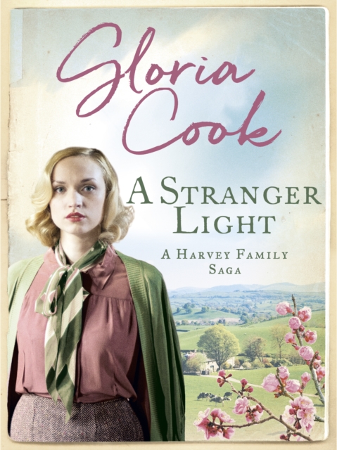 Book Cover for Stranger Light by Gloria Cook