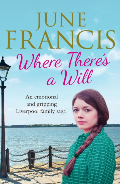 Book Cover for Where There's a Will by June Francis