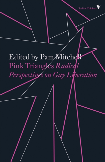 Book Cover for Pink Triangles by Pam Mitchell