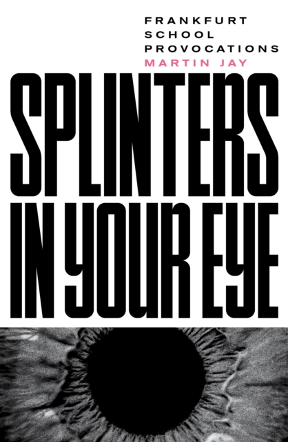 Book Cover for Splinters in Your Eye by Jay, Martin