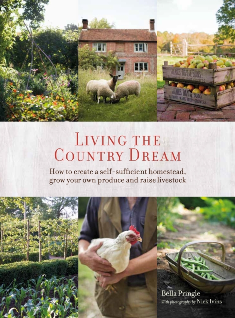 Book Cover for Living the Country Dream by Bella Ivins