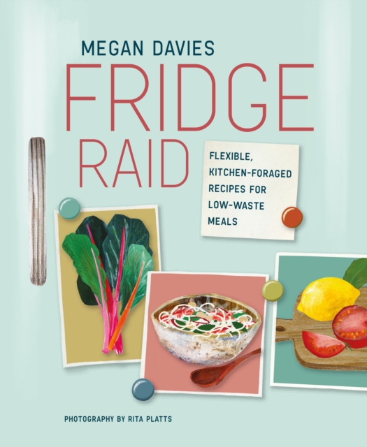 Book Cover for Fridge Raid by Megan Davies