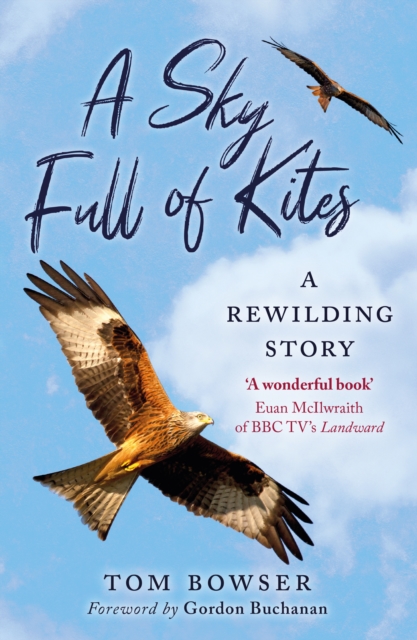 Book Cover for Sky Full of Kites by Tom Bower