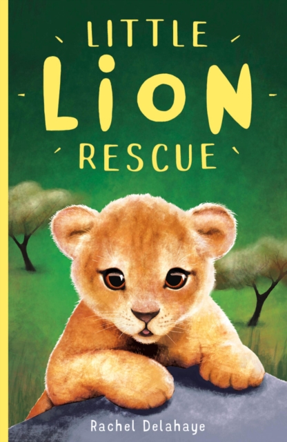 Book Cover for Little Lion Rescue by Rachel Delahaye