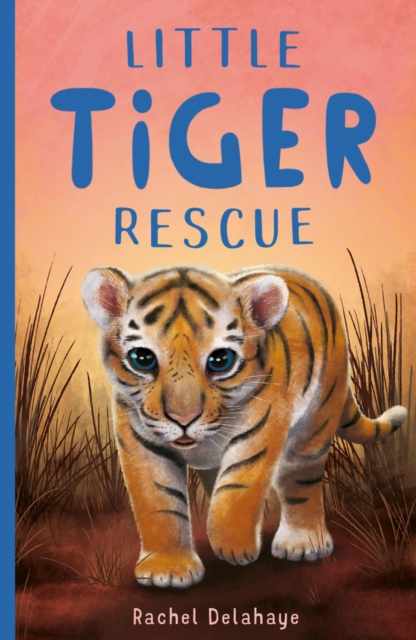 Book Cover for Little Tiger Rescue by Rachel Delahaye