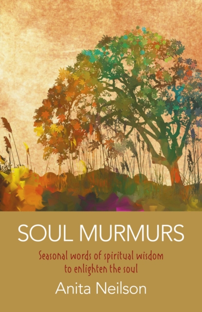 Book Cover for Soul Murmurs by Anita Neilson