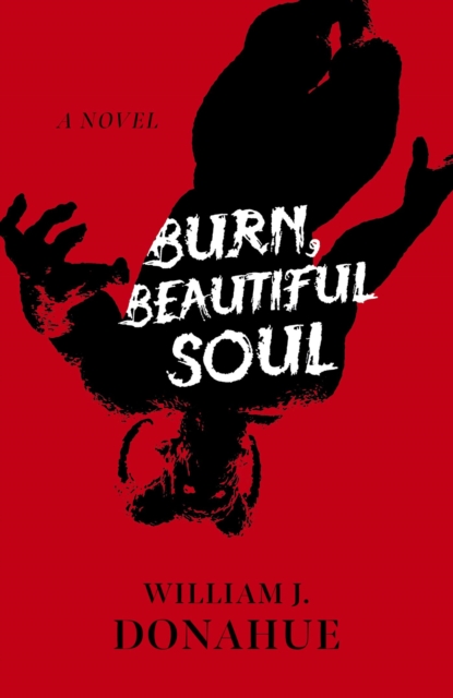 Book Cover for Burn, Beautiful Soul by William J. Donahue