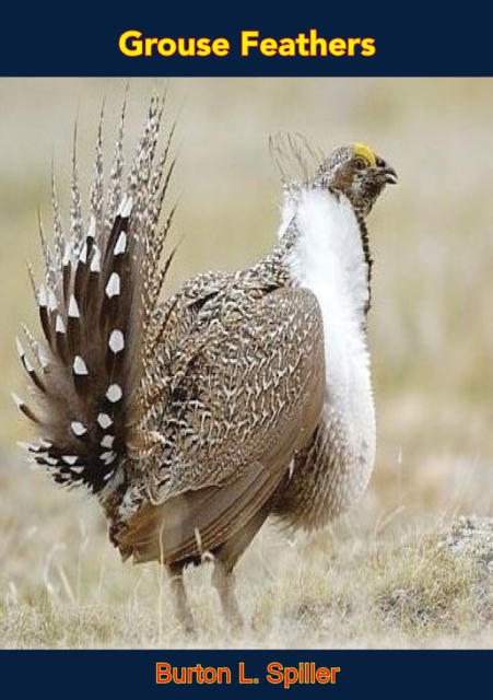 Book Cover for Grouse Feathers by Burton L. Spiller