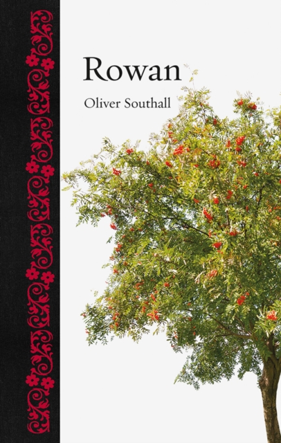 Book Cover for Rowan by Southall Oliver Southall