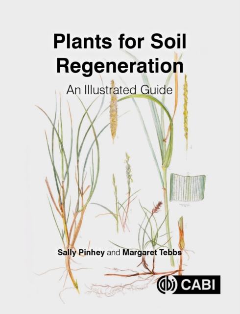 Book Cover for Plants for Soil Regeneration by Sally Pinhey, Margaret Tebbs