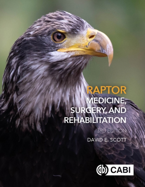 Book Cover for Raptor Medicine, Surgery, and Rehabilitation by Scott, David