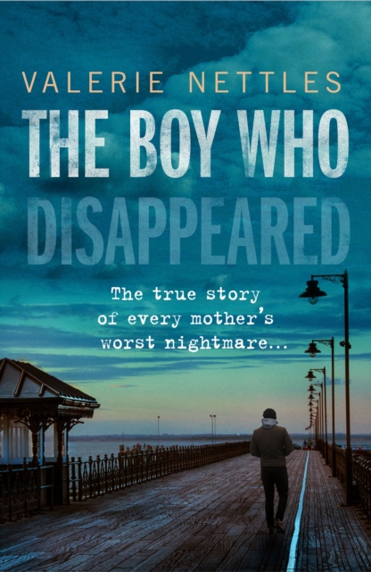 Book Cover for Boy Who Disappeared by Valerie Nettles