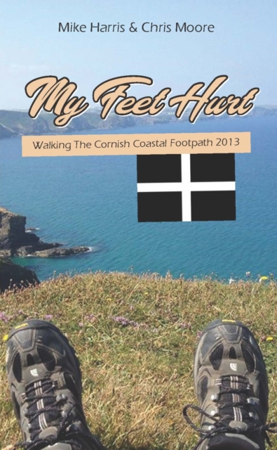 Book Cover for My Feet Hurt by Mike Harris