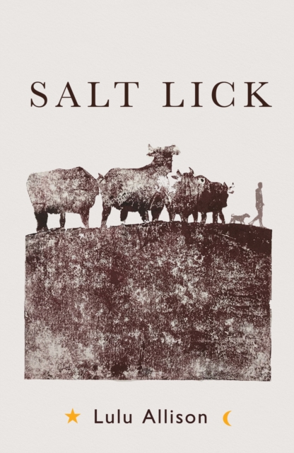 Book Cover for Salt Lick by Lulu Allison