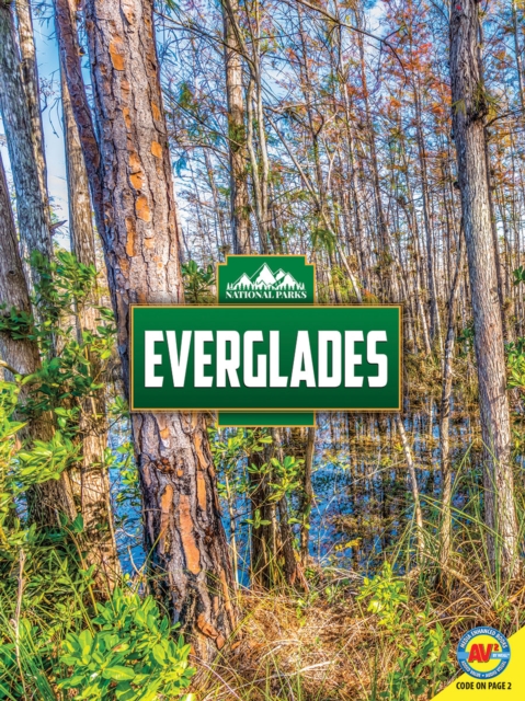 Book Cover for Everglades by Nancy Furstinger