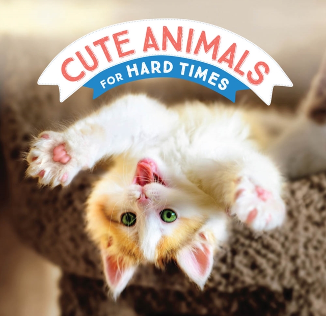Book Cover for Cute Animals for Hard Times by Chronicle Books