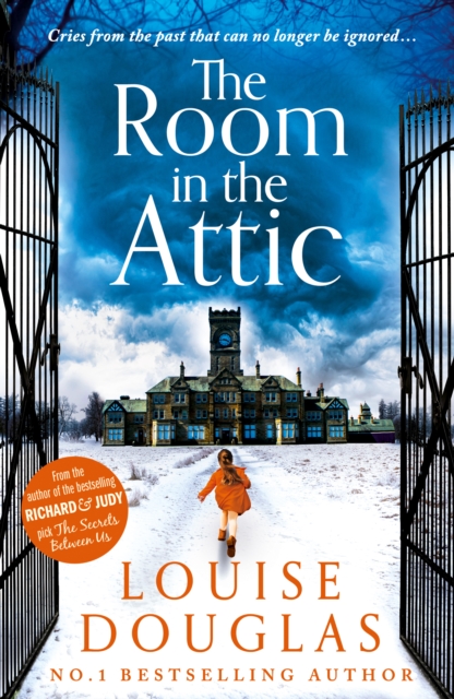 Book Cover for Room in the Attic by Louise Douglas