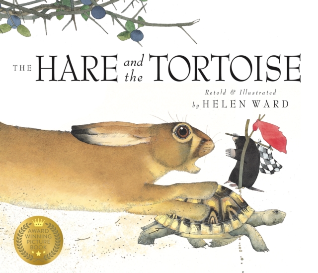 Book Cover for Hare and the Tortoise by Helen Ward